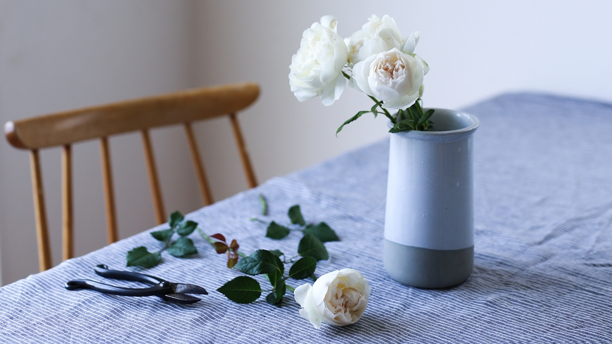 「季節の花が勝手に送られてくる」っていう新しいサービス。