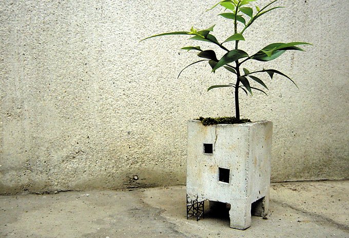 廃墟を育てる楽しみかた