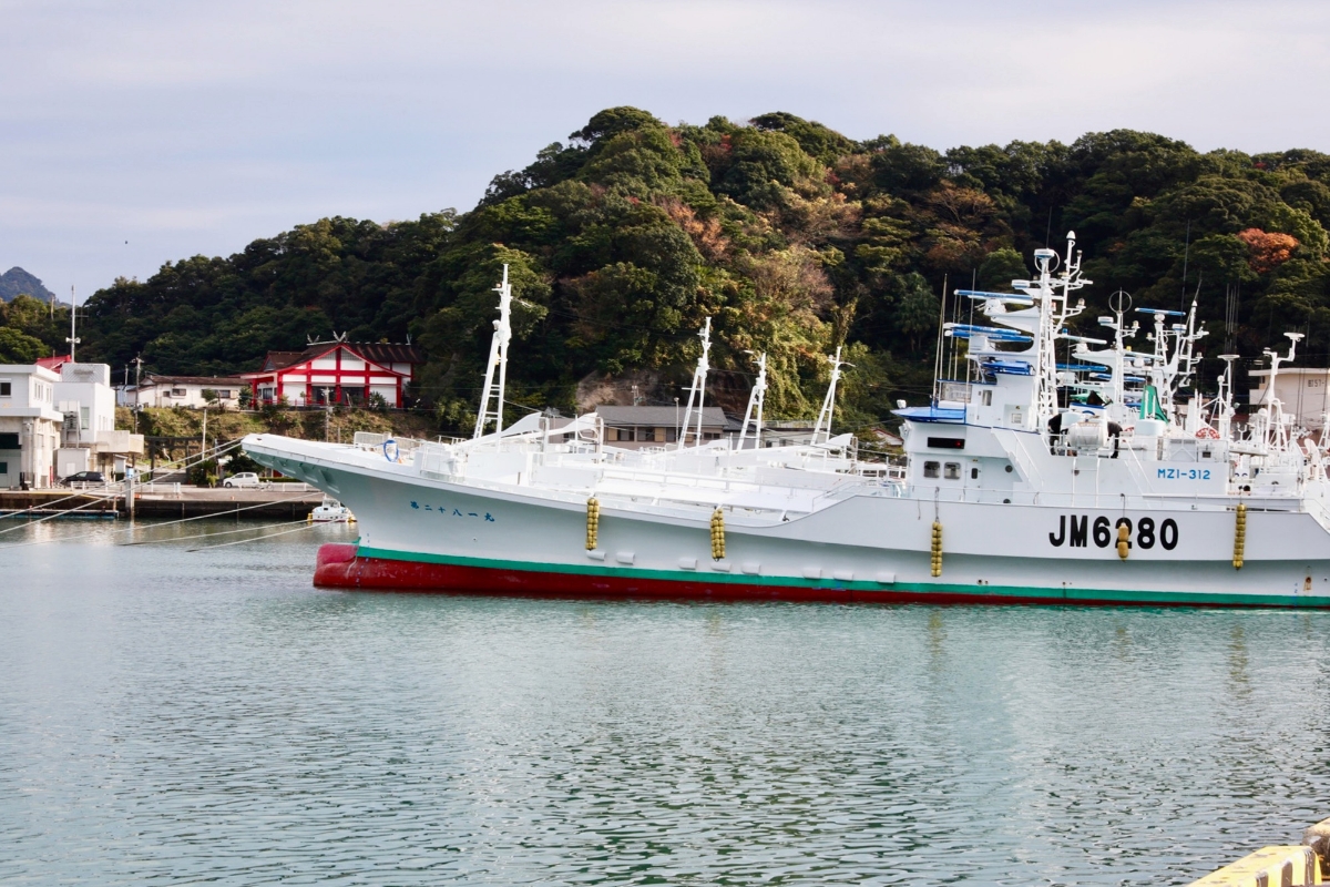 「一本釣りカツオ」の街で、何度でも食べたい漁師めし