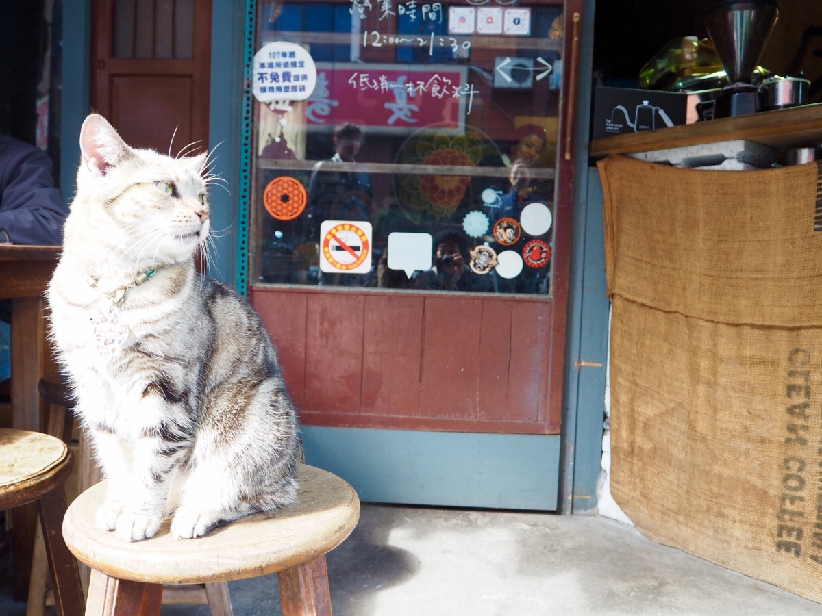 看板ネコがお出迎え。地元にとことん愛されるコーヒーショップ