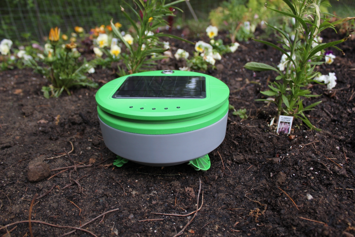 健気に働く姿が愛らしい「草むしりロボット」