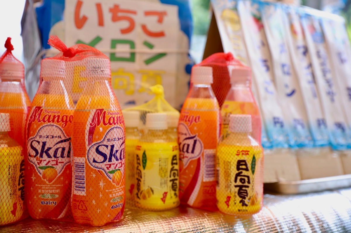 登って登って下る。「鵜戸神宮」はトレッキングだった