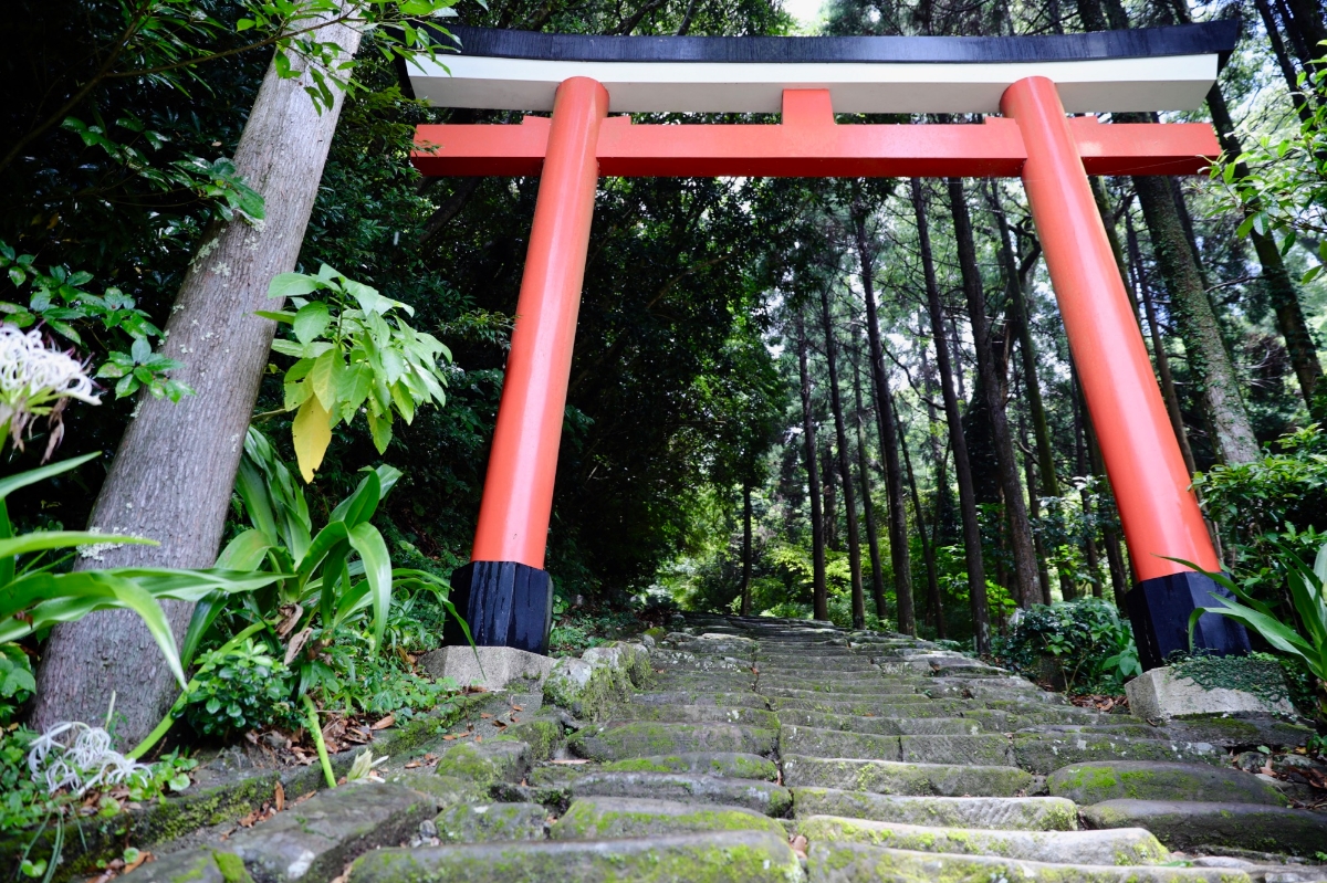 登って登って下る。「鵜戸神宮」はトレッキングだった