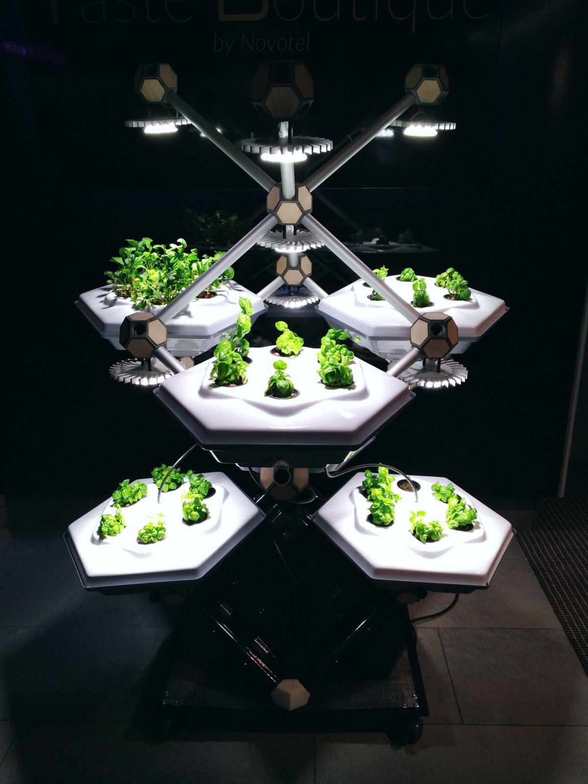 フルオートで栽培してくれる「未来」の家庭菜園