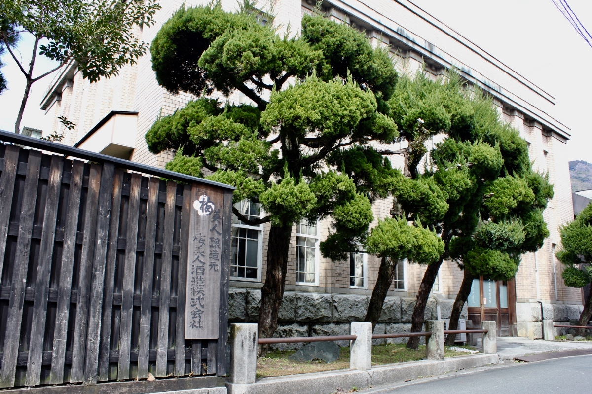 創業102年の酒蔵が本気でつくった、極上の「みかんリキュール」