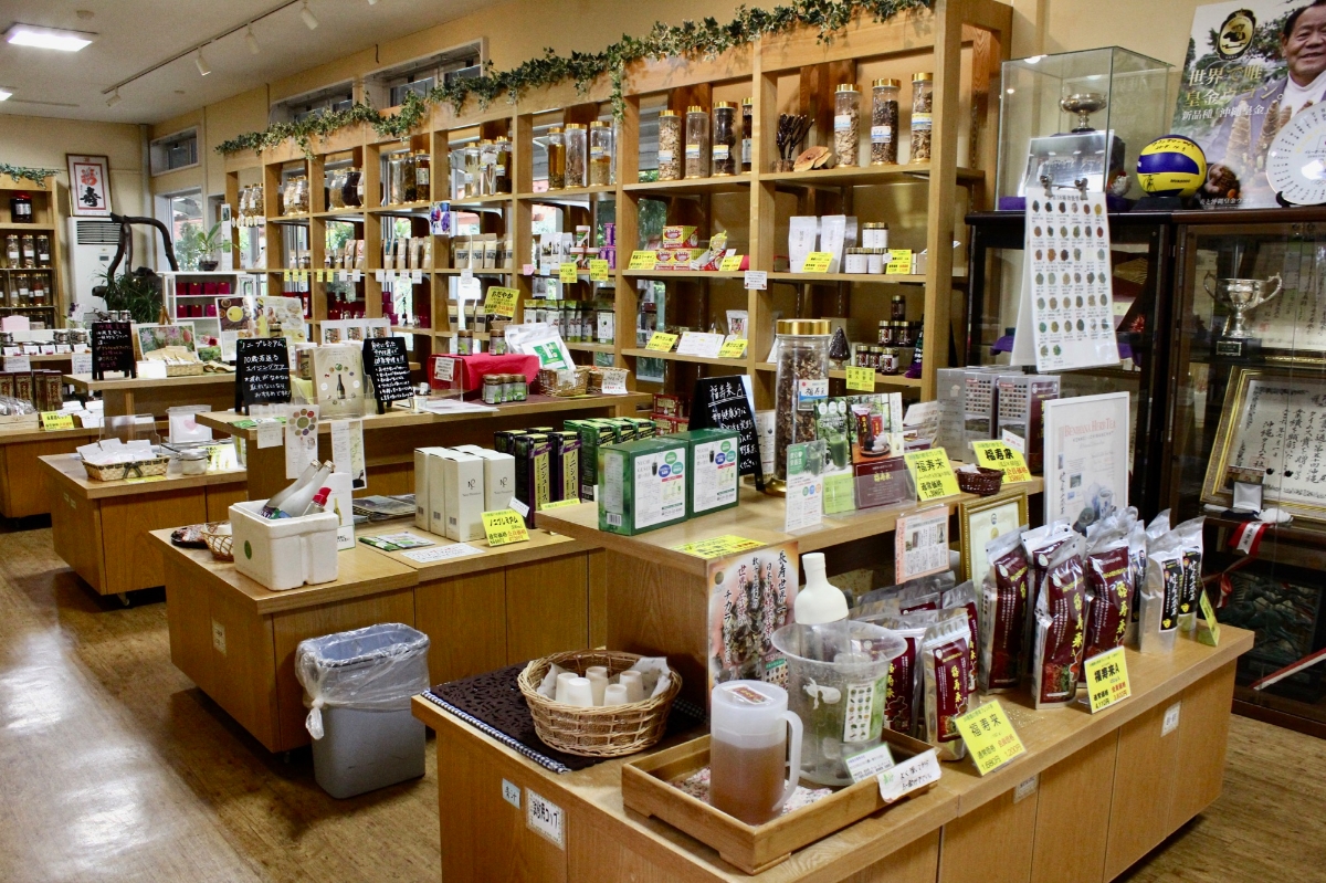 ただのビュッフェじゃない。「野草」がお腹いっぱい楽しめるカフェ
