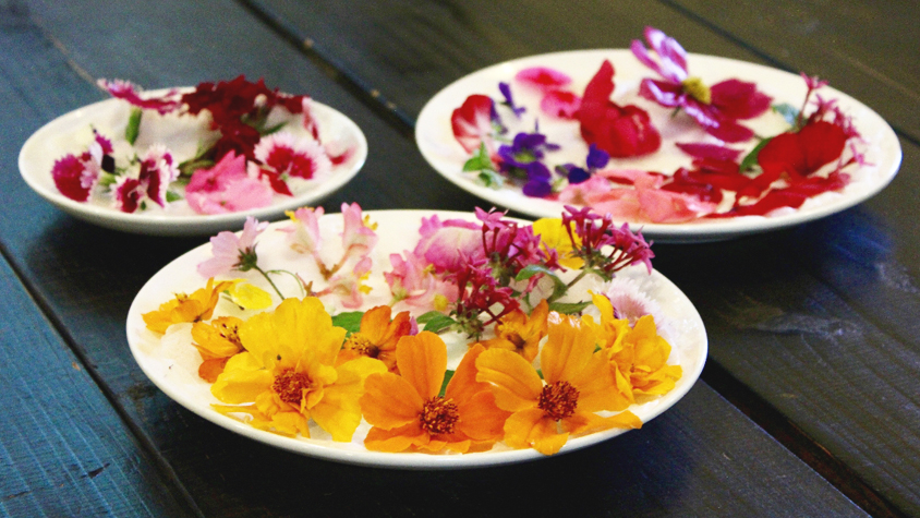 沖縄の隠れ家。仲良し3姉妹の「カフェビーンズ」でお花を食べる