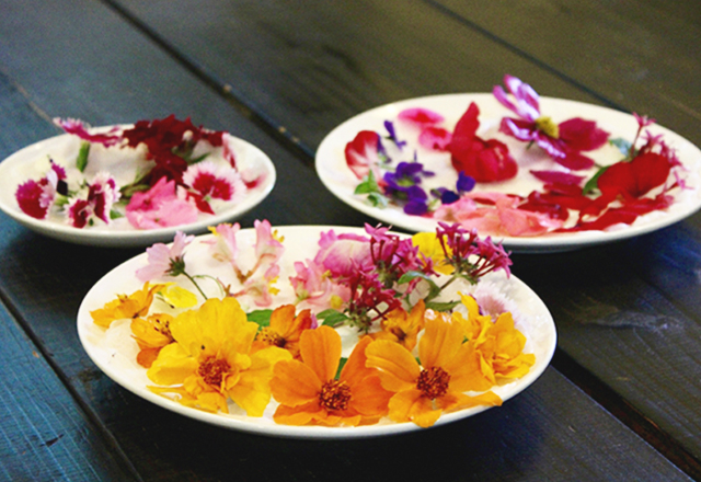 沖縄の隠れ家。仲良し3姉妹の「カフェビーンズ」でお花を食べる