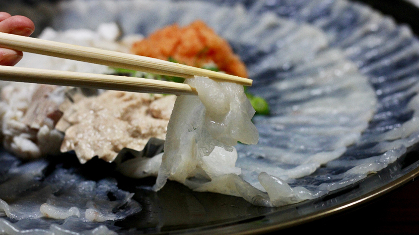 魚が衝撃的に旨くてコスパがいい 愛媛 八幡浜の夜 Tabi Labo