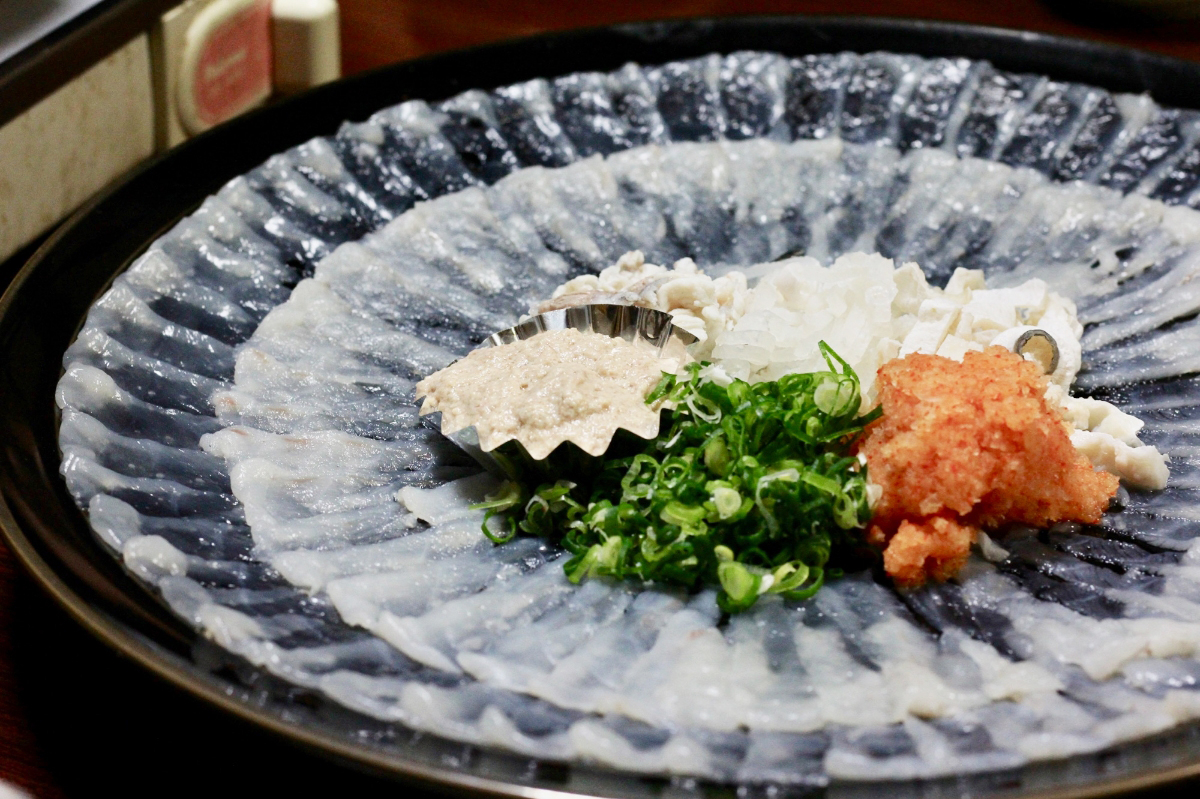 魚が衝撃的に旨くてコスパがいい、愛媛の夜