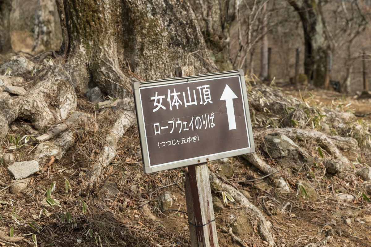 高尾山が好きなら次は「筑波山」