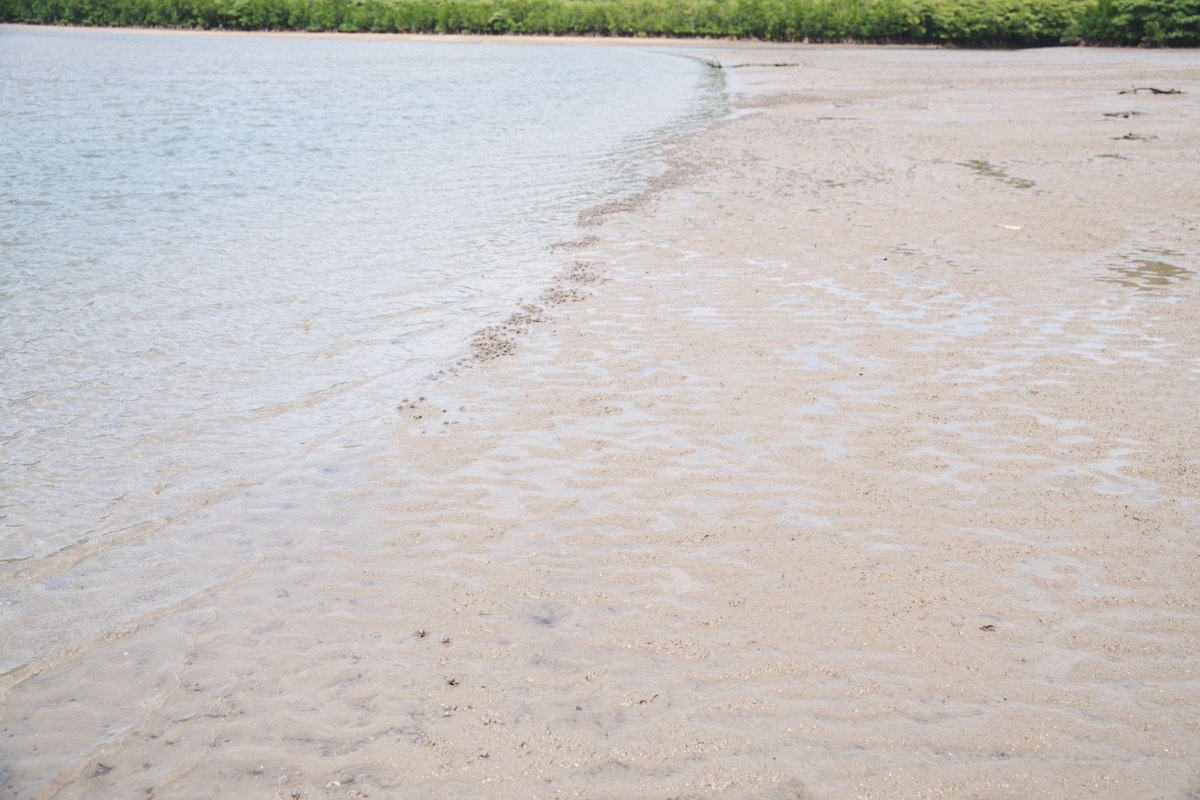 試される島「西表島」でナーラの滝を目指す