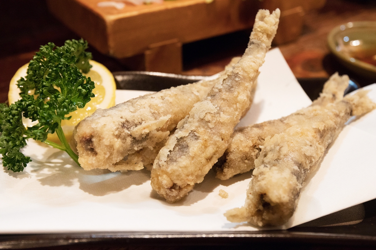 海のない街・つくばの“刺身居酒屋”に、みんなが集う理由