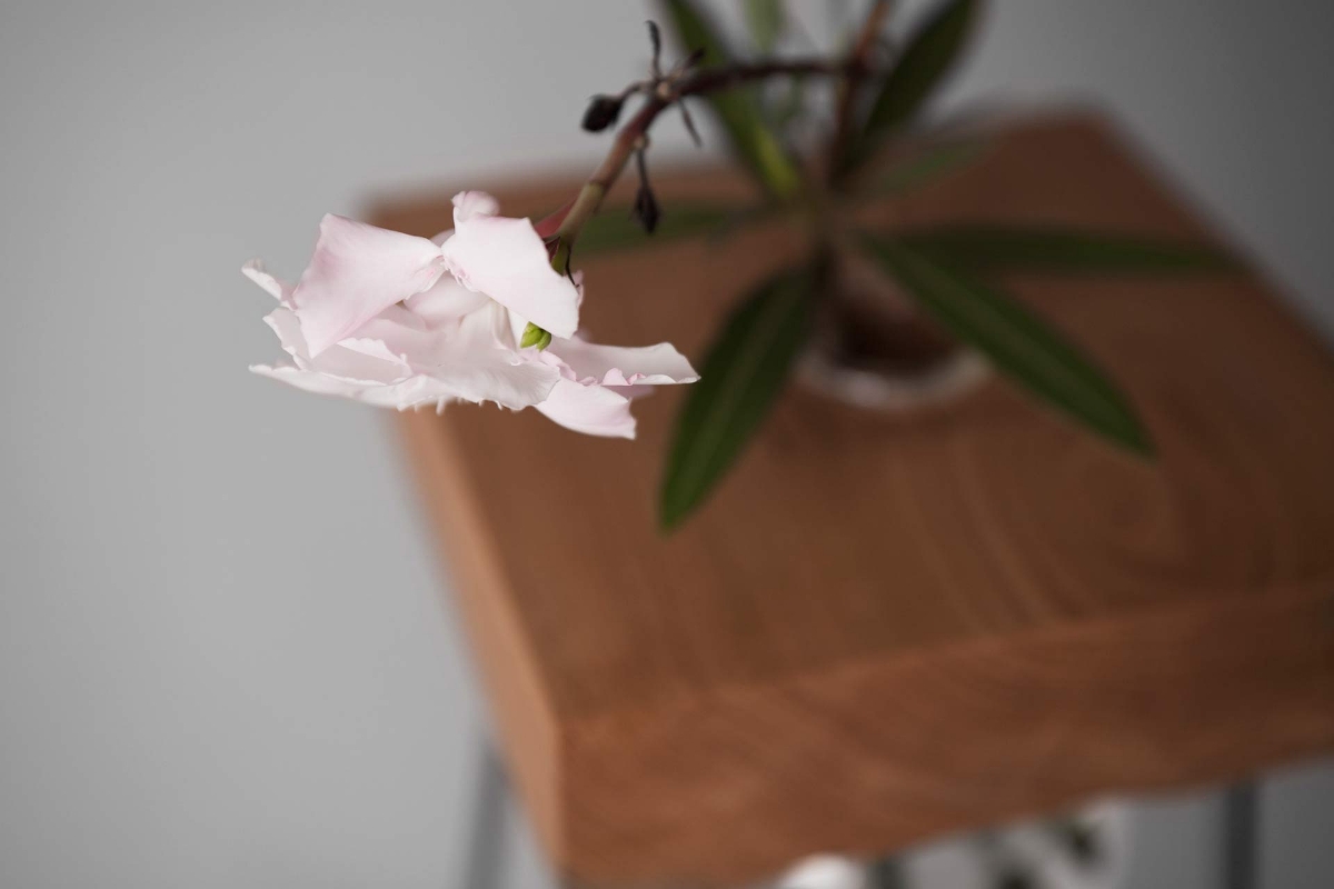生け花のことを考えに考えたテーブル(たぶん世界初)