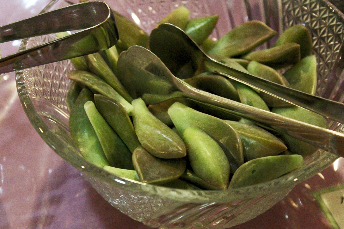 ただのビュッフェじゃない。「野草」がお腹いっぱい楽しめるカフェ