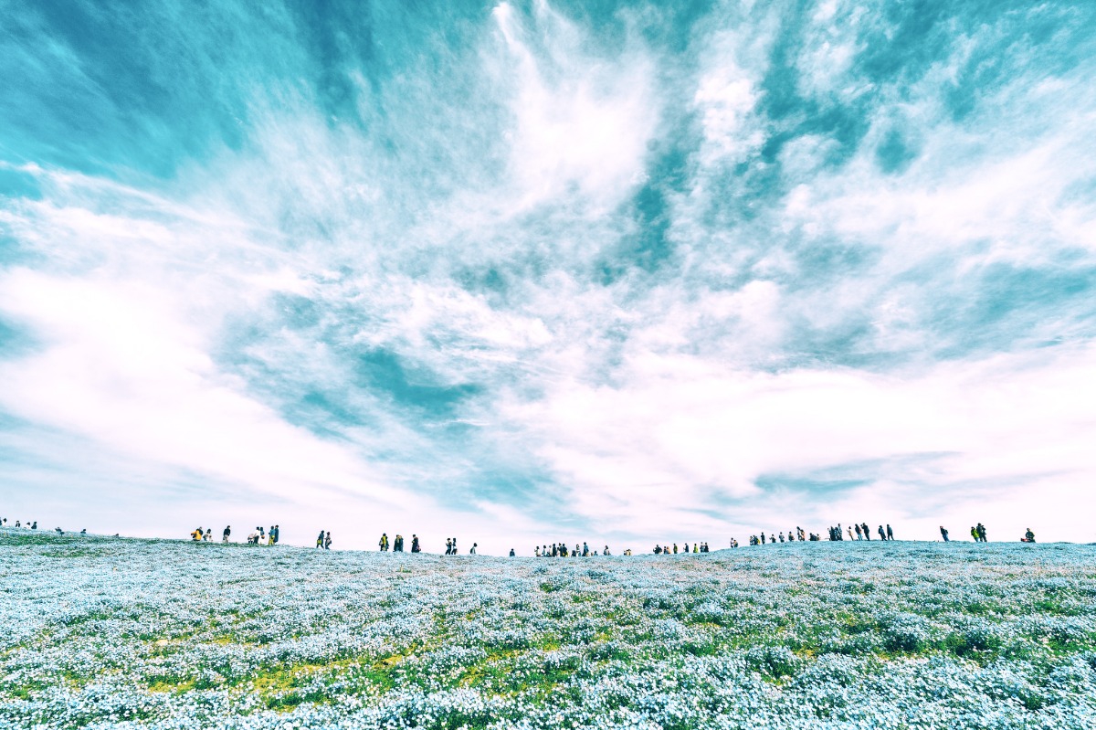 今年も「青い絶景」をありがとう