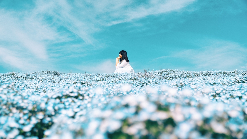 今年も「青い絶景」をありがとう