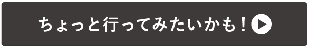 ギャンブルしなくても、カジノに行くべき5つの理由