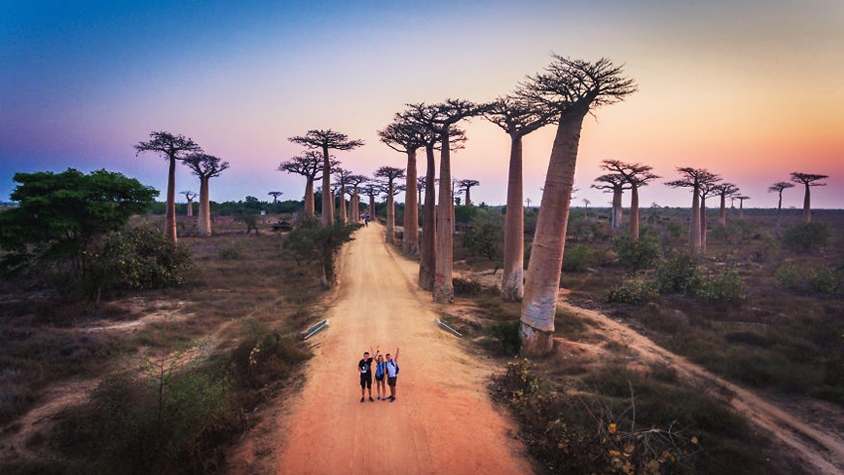 旅欲をかきたてられる「未知の国マダガスカル」 TABI LABO