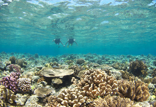 人気スポットが一つも入っていない「沖縄旅プラン」