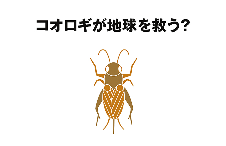 無印良品 が コオロギせんべい を販売する らしい Tabi Labo