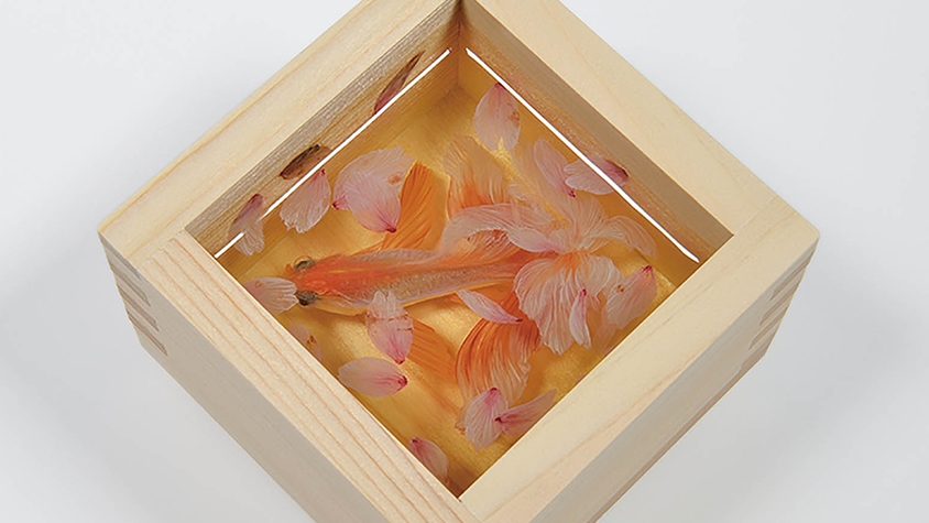 金魚を魅せる現代美術家 深堀隆介 の創作展 開催中 Tabi Labo