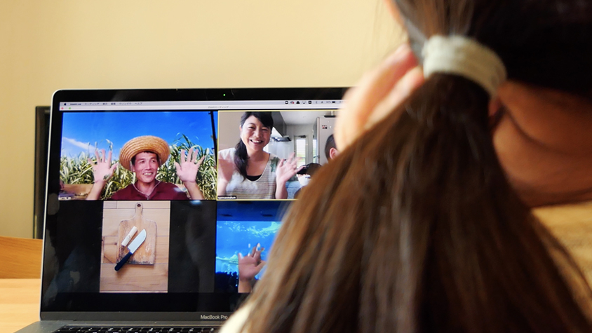 南国気分 おうちで サトウキビ栽培 Tabi Labo