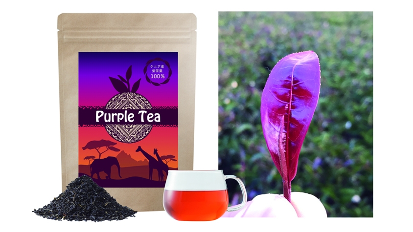 【期間限定出品】Bee Wynn パープル Bee Wynn Playing Cards (Brown, Red, Blue) / ウィン・デック