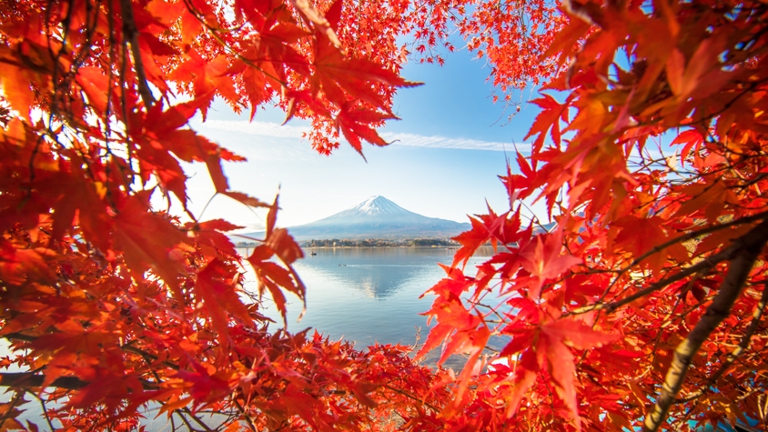紅葉「い・ろ・は」 大切な想い出。秋 紅葉「い・ろ・は」 大切な想い出。秋 秋色 気づけば、紅葉真っ盛りに