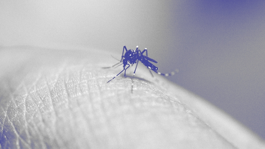 「蚊に刺されない新技術」が開発