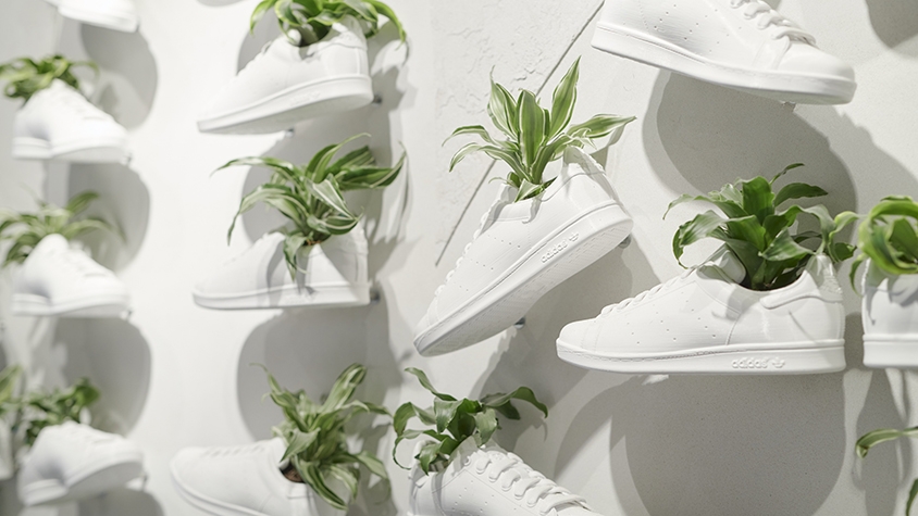 「Adidas」が「キノコ製シューズ」の開発を発表