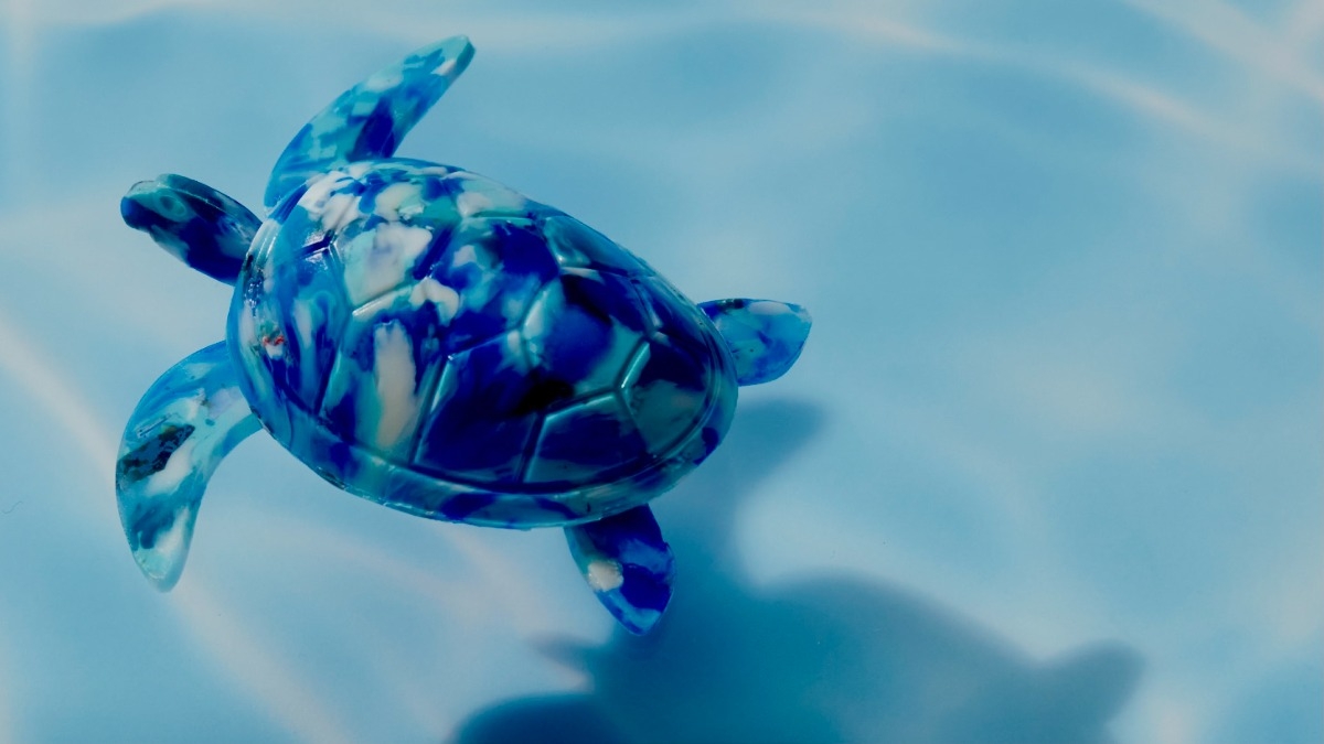 美しいウミガメの正体 それは 海を汚していたプラスチックゴミ Tabi Labo
