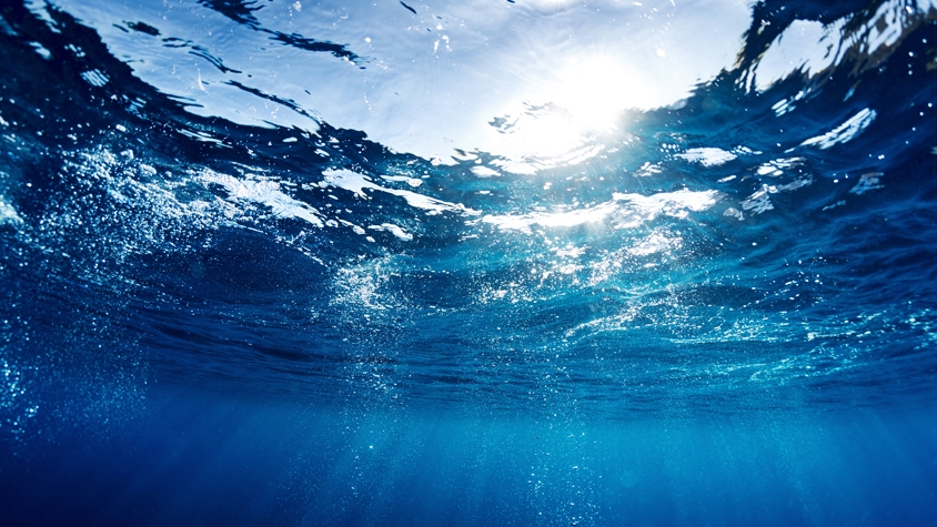 気候変動により海洋の「無酸素ゾーン」が深刻化