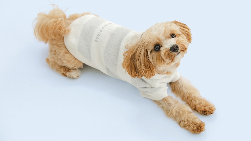 GELATO PIQUE 猫・犬用ハウス ベージュストライプ gelato pique（ジェラート ピケ）」犬猫用コレクション「GELATO