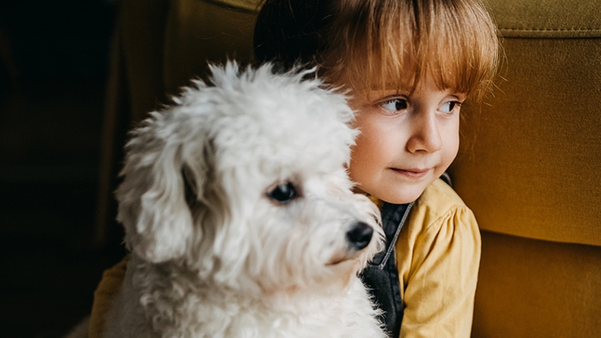 動物介在介入 i による子どものウェルビーイング向上が研究で明らかに Tabi Labo