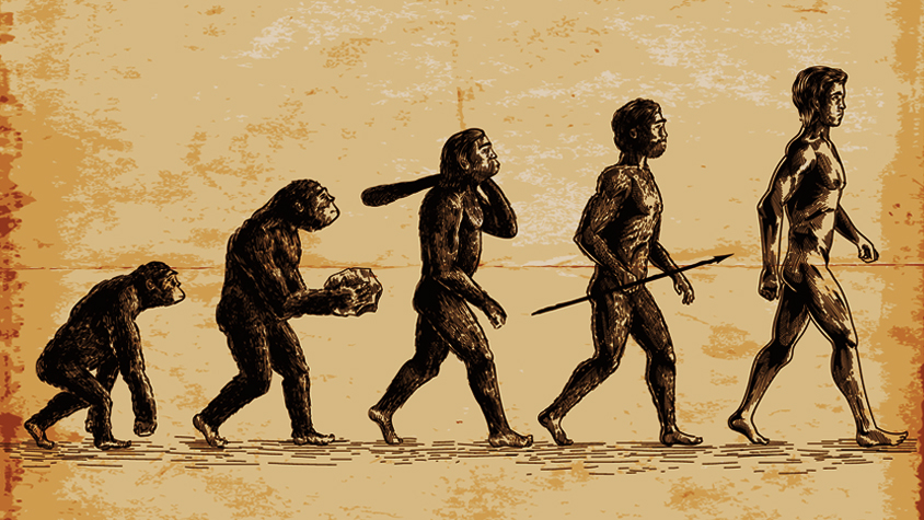 アウストラロピテクス·アフリカヌス実物大模型 アウストラロピテクス·アフリカヌス実物大模型 立体・オブジェ