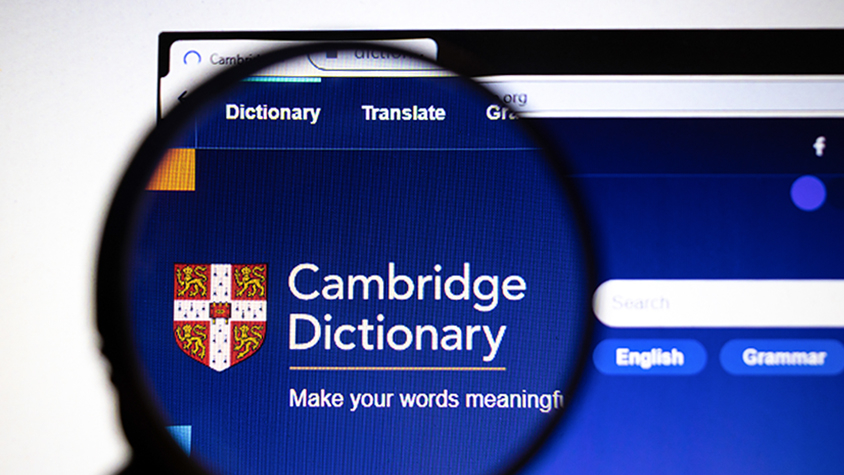 BADGE  意味, Cambridge 英語辞書での定義