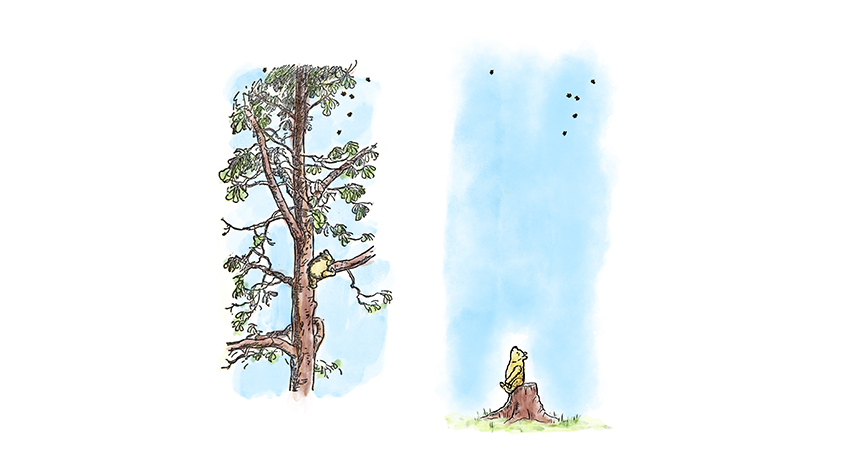 伐採された森で暮らすプーさんを描いた絵本『Winnie-The-Pooh:The 