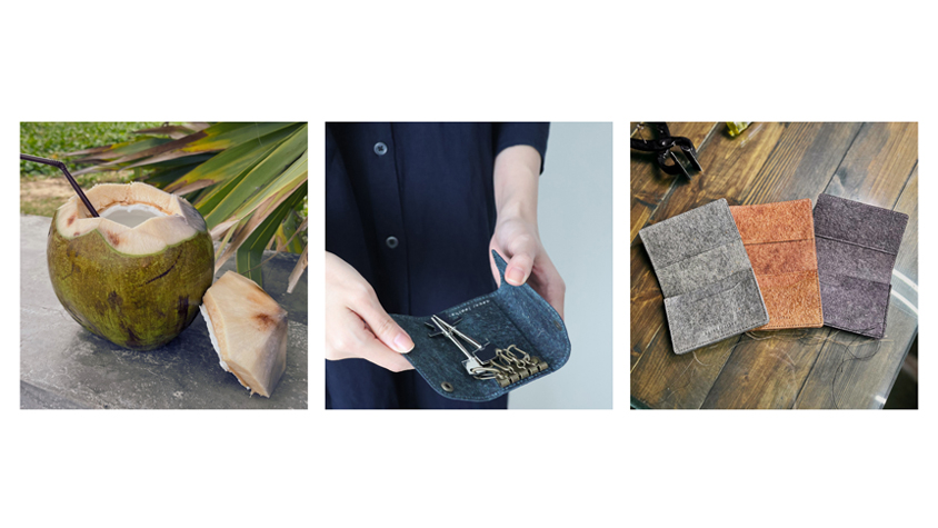 廃棄「ココナッツ」をヴィーガンレザーに活用するエシカルブランド