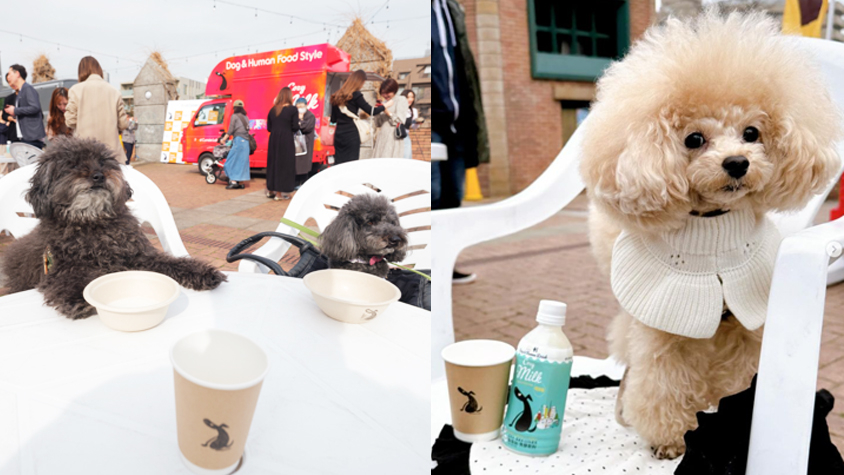 Cozy Milk Cafe」が4/10(水)～4/13(土)の期間限定で、中目黒から徒歩5