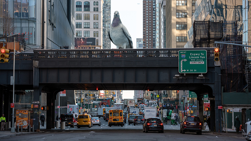 鉄の鳩 ニューヨークの「ハイライン」に巨大な鳩の彫刻が現れる | TABI LABO