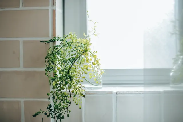 「人工観葉植物」窓辺