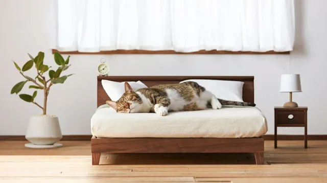 福岡・大川市「大川家具」の職人が手がける、猫のための家具「ネコ家具」