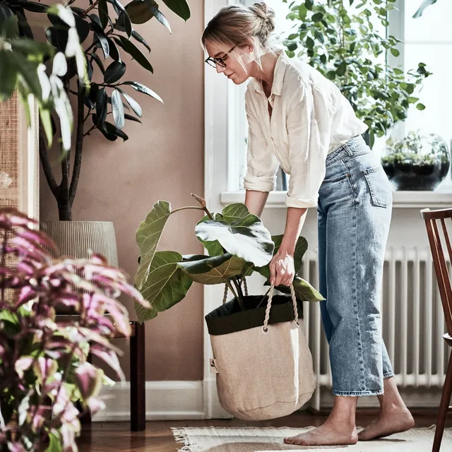 暮らしに植物を Ikea からハンドメイドの新シリーズ Botanisk が登場 Tabi Labo