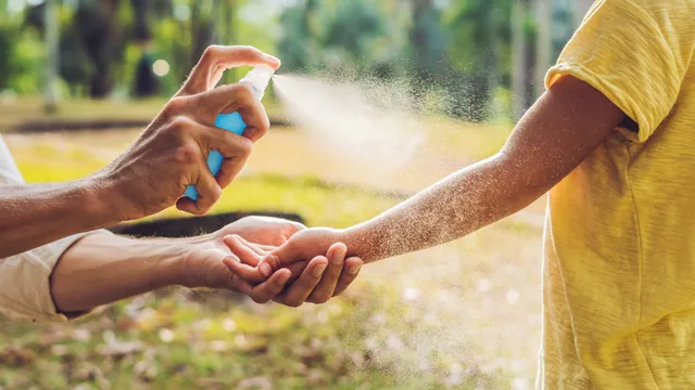 蚊が嫌いな 8つの植物 意外と知られてないかも Tabi Labo