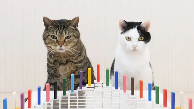 ゼッタイ最後まで見ちゃう ほっこり動物動画 まとめ Tabi Labo