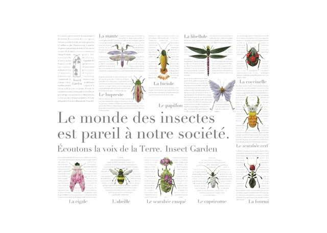 香川照之氏プロデュース「草花と昆虫のエシカルブランド Insect Garden」