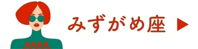 占い<みずがめ座>