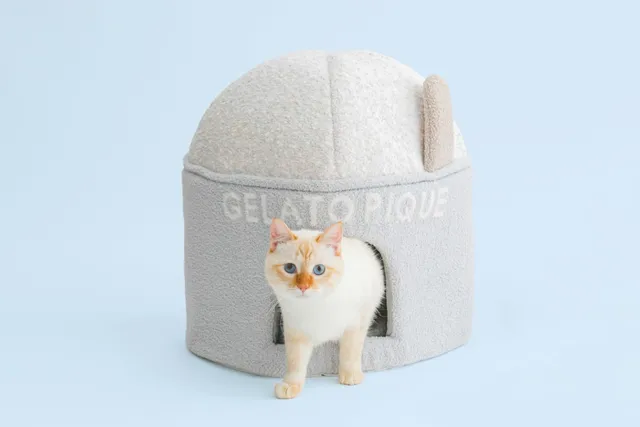 「gelato pique（ジェラート ピケ）」犬猫用コレクション「GELATO PIQUE CAT&DOG（ジェラート ピケ キャット