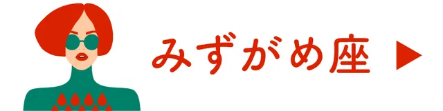 <占い>みずがめ座